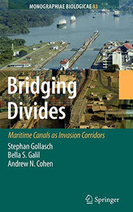 Bridging Divides