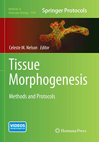 Tissue Morphogenesis