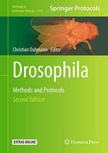 Drosophila