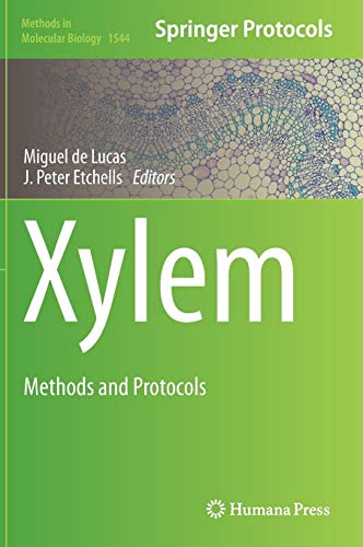 Xylem