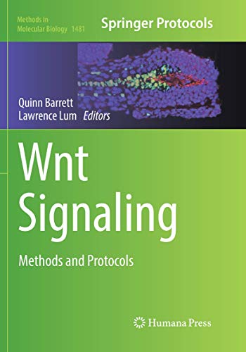 Wnt Signaling