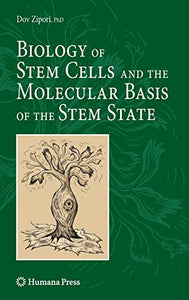 Biology of Stem Cells and the Molecular Basis of the Stem State