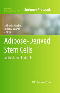 Adipose-Derived Stem Cells