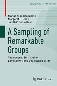 A Sampling of Remarkable Groups