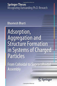 Adsorption, Aggregation and Structure Formation in Systems of Charged Particles