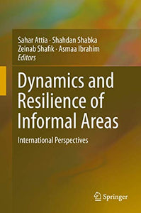 Dynamics and Resilience of Informal Areas