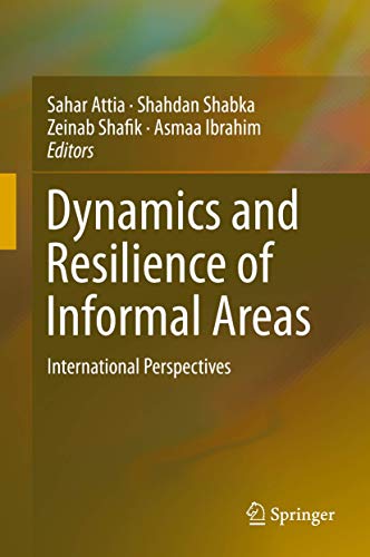 Dynamics and Resilience of Informal Areas