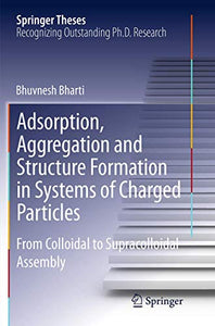 Adsorption, Aggregation and Structure Formation in Systems of Charged Particles