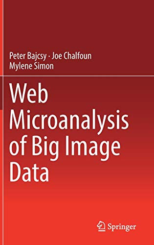 Web Microanalysis of Big Image Data