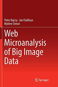 Web Microanalysis of Big Image Data