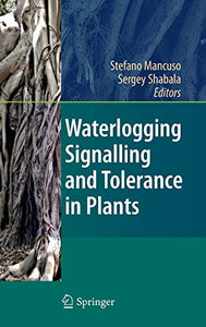 Waterlogging Signalling and Tolerance in Plants