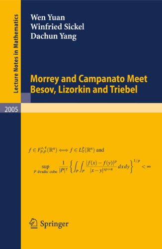 Morrey and Campanato Meet Besov, Lizorkin and Triebel