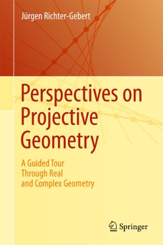 Perspectives on Projective Geometry