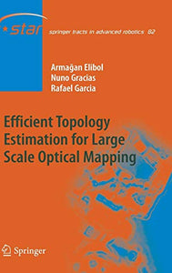 Efficient Topology Estimation for Large Scale Optical Mapping