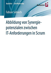 Abbildung von Synergiepotenzialen zwischen IT-Anforderungen in Scrum