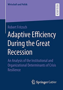 Adaptive Efficiency During the Great Recession