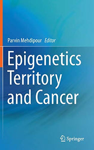 Epigenetics Territory and Cancer