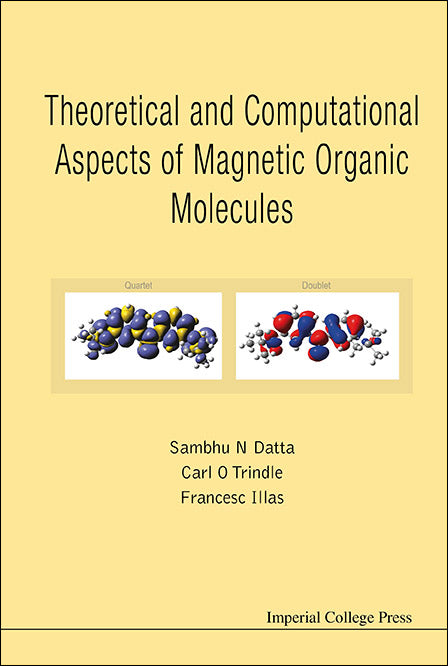 Theoretical And Computational Aspects Of Magnetic Organic Molecules