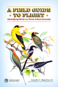 A Field Guide to Flight: Identifying Birds on Three School Grounds
