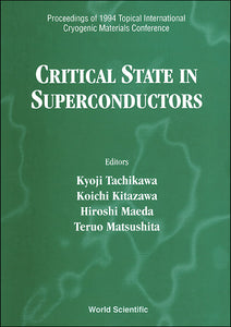 Critical State In Superconductors - Proceedings Of 1994 Topical International Cryogenic Materials Conference