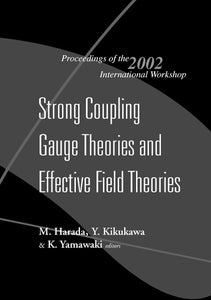 Strong Coupling Gauge Theories And Effective Field Theories, Proceedings Of The 2002 International Workshop