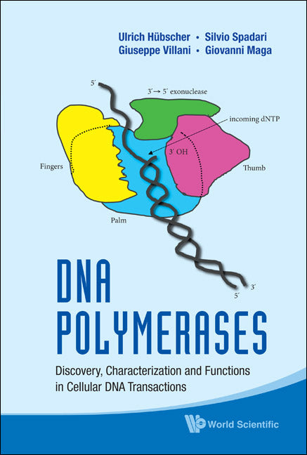 Dna Polymerases: Discovery, Characterization And Functions In Cellular Dna Transactions