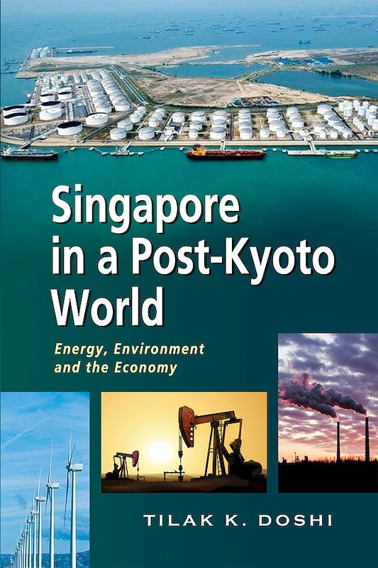 [eBook]Singapore in a Post-Kyoto World: Energy, Environment and the Economy (Climate Change Finance: Who Pays and Who Receives?)