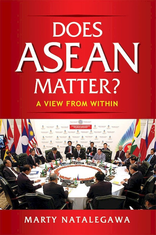 [eBook]Does ASEAN Matter? A View from Within (Statecraft and Diplomacy in a World Transformed: 1967 to the Present)