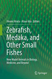 Zebrafish, Medaka, and Other Small Fishes