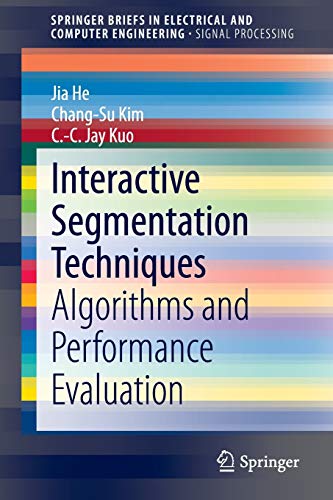 Interactive Segmentation Techniques